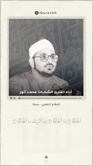 استاد محمد شحات انور
