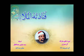 فرازی زیبا از استاد سید متولی عبدالعال