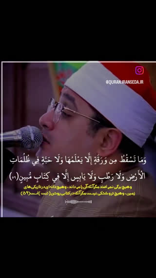 فراز بسیار زیبا از محمود شحات انور