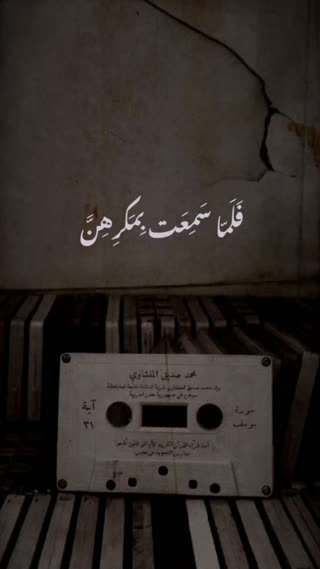 استاد محمد صدیق المنشاوی