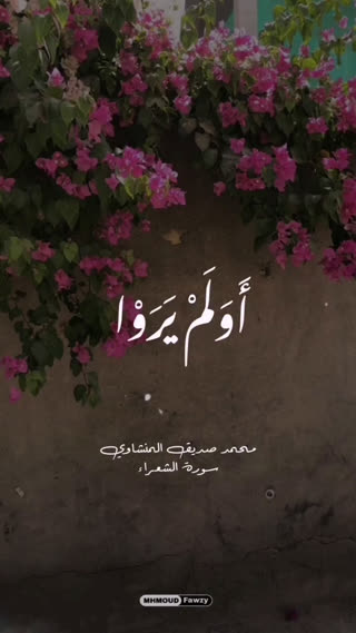 استاد محمد صدیق المنشاوی