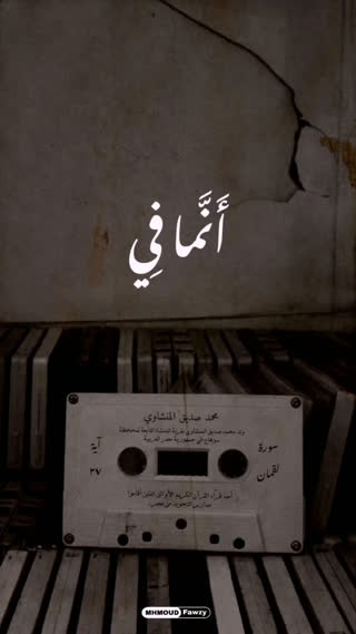 استاد محمد صدیق المنشاوی