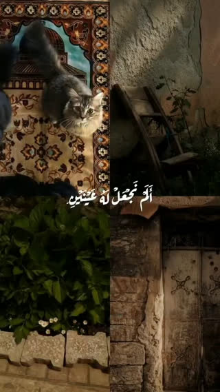 تلاوتی زیبا