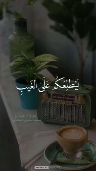 استاد محمد صدیق المنشاوی