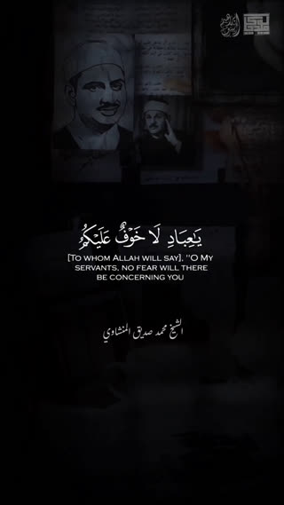 استاد محمد صدیق المنشاوی