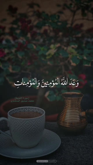 استاد محمد صدیق المنشاوی