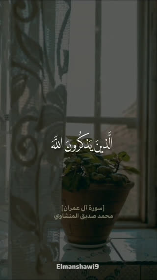 استاد محمد صدیق المنشاوی