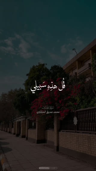 استاد محمد صدیق المنشاوی