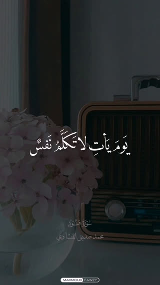 استاد محمد صدیق المنشاوی