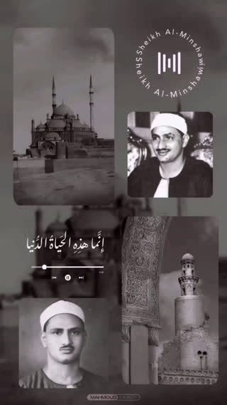 استاد محمد صدیق المنشاوی