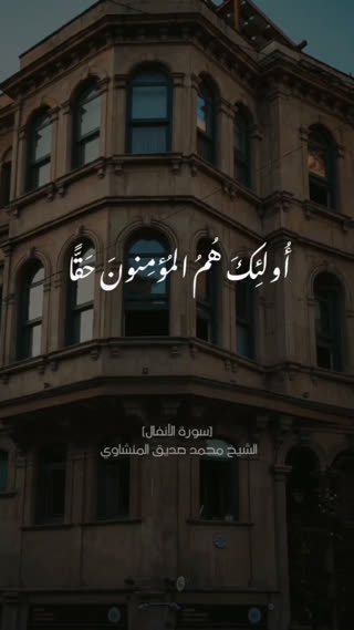 استاد محمد صدیق المنشاوی