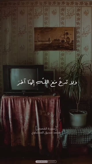 استاد محمد صدیق المنشاوی