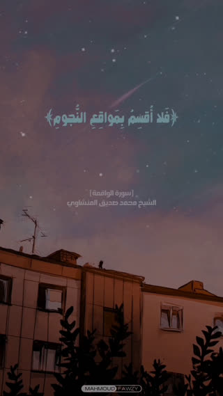 استاد محمد صدیق المنشاوی