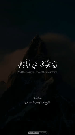 شیخ عبدالوهاب طنطاوی