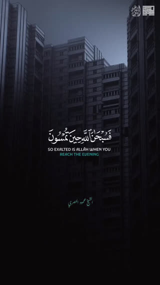 شیخ محمود الحصری