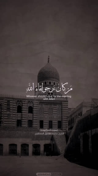 استاد محمد صدیق المنشاوی
