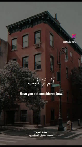استاد محمد صدیق المنشاوی