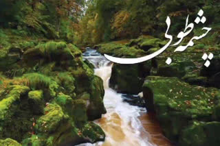 شرکت در مسابقه قرآنی چشمه طوبی (رادیو قرآن)