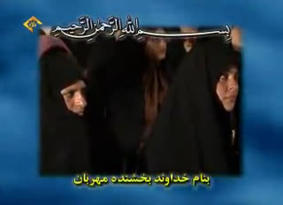 استاد محمود حلفاوی