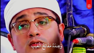 شیخ محمود شحات انور