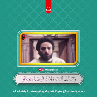 شحات محمد انور