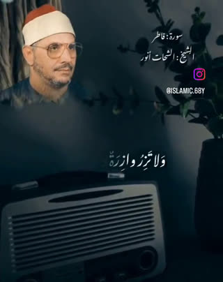 استاد محمد شحات انور