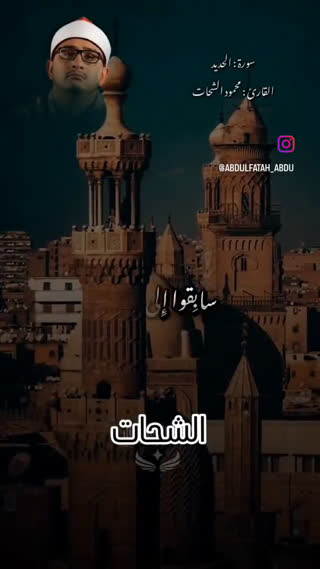 استاد محمود شحات انور