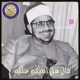 استاد محمد شحات انور