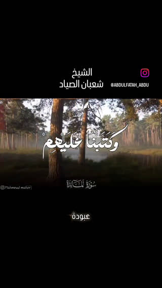 شیخ شعبان صیاد