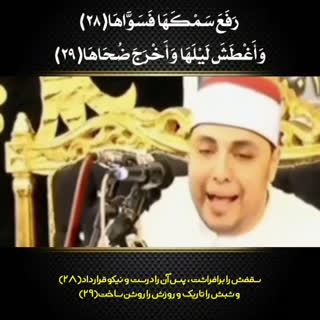 محمد عبدالرحمن الخولی