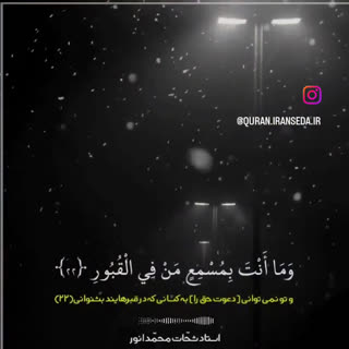 استاد محمد شحات انور