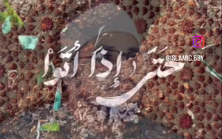 استاد محمد شحات انور