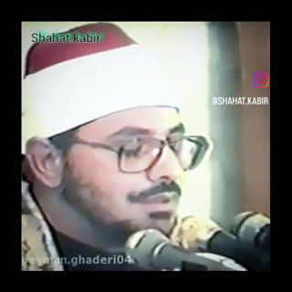 استاد محمد شحات انور