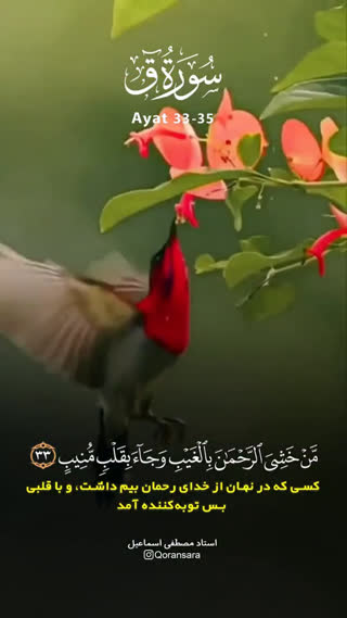 استقبال از بهشتیان