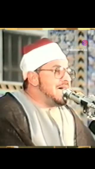 استاد محمد شحات انور
