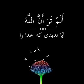 تلاوتی زیبا از استاد عبدالباسط