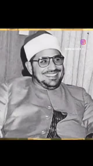 استاد محمد شحات انور