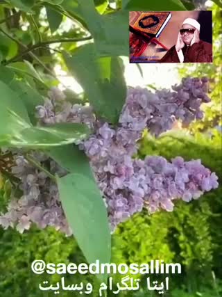 فراز زیبا و حزین