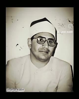 استاد محمد شحات انور