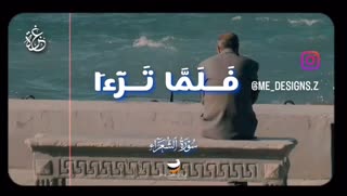 استاد الطنطاوی