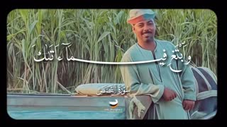 استاد البطلاوی