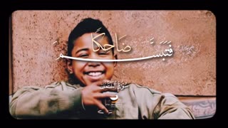 استاد محمود شحات انور