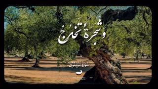 استاد بهتیمی
