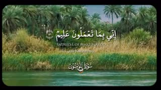 شیخ شعبان الصیاد
