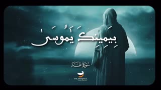 استاد کامل یوسف بهتیمی