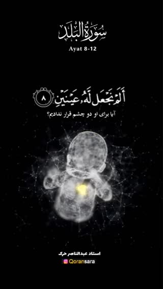 استادعبدالناصر حرک