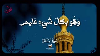 استاد منشاوی