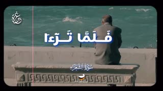 استاد الطنطاوی