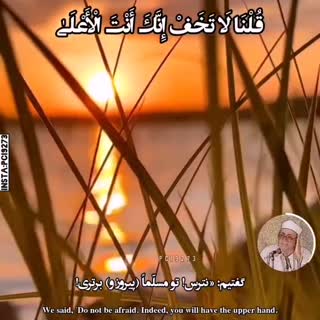 فرازی زیبا از استاد صیاد
