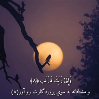صدای زیبای استاد عبدالباسط در مقام صبا